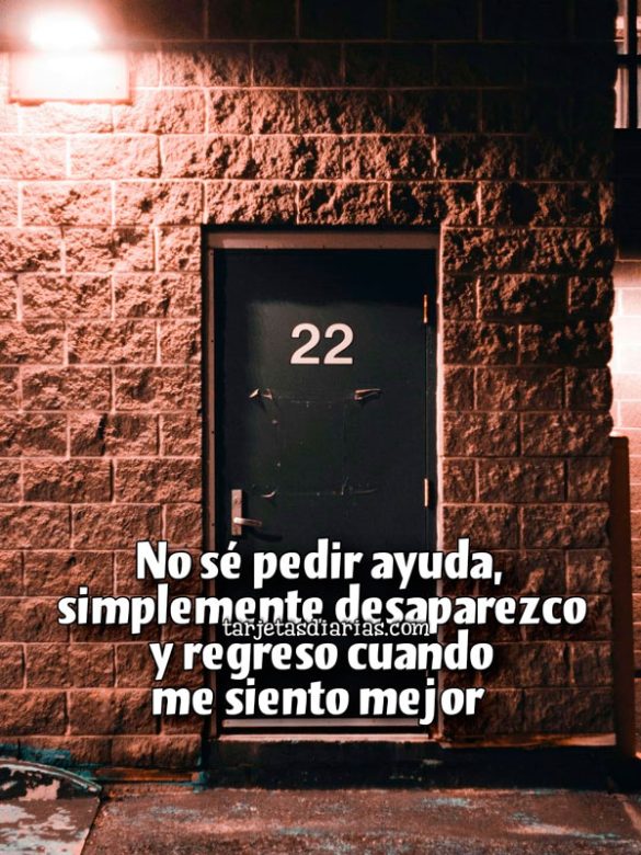 NO SÉ PEDIR AYUDA, SIMPLEMENTE DESAPAREZCO Y REGRESO CUANDO ME SIENTO MEJOR