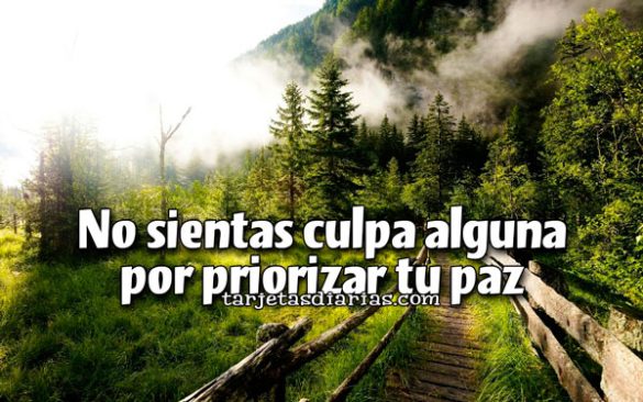 NO SIENTAS CULPA ALGUNA POR PRIORIZAR TU PAZ