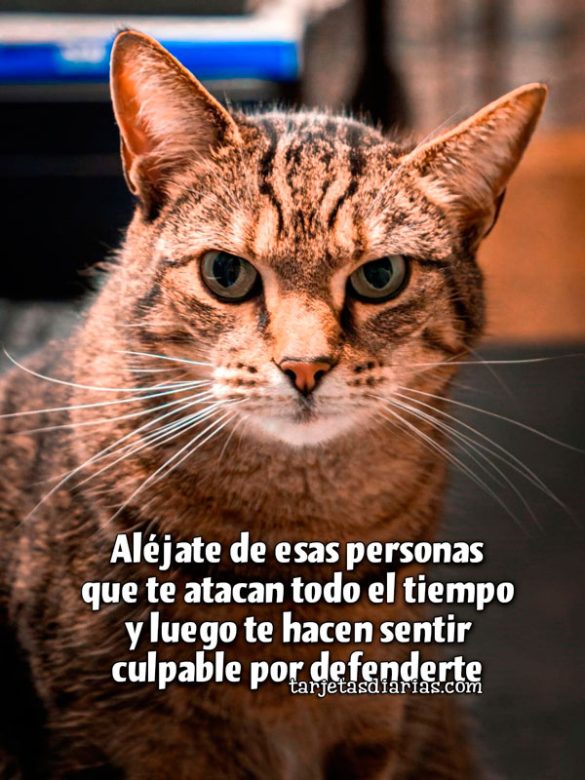 ALÉJATE DE ESAS PERSONAS QUE TE ATACAN TODO EL TIEMPO Y LUEGO TE HACEN SENTIR CULPABLE POR DEFENDERTE
