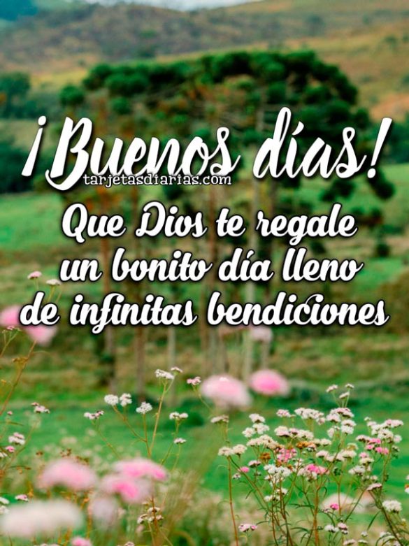 ¡BUENOS DÍAS! QUE DIOS TE REGALE UN DÍA LLENO DE INFINITAS BENDICIONES