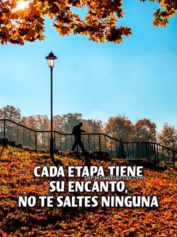 CADA ETAPA TIENE SU ENCANTO, NO TE SALTES NINGUNA