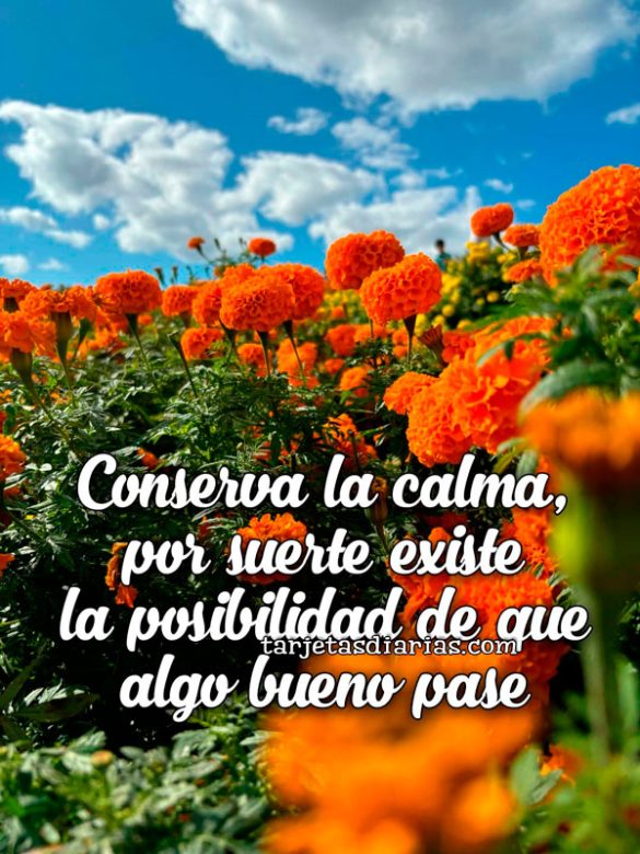 CONSERVA LA CALMA, POR SUERTE EXISTE LA POSIBILIDAD DE QUE ALGO BUENO PASE