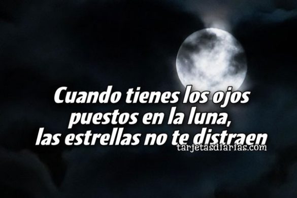CUANDO TIENES LOS OJOS PUESTOS EN LA LUNA, LAS ESTRELLAS NO TE DISTRAEN