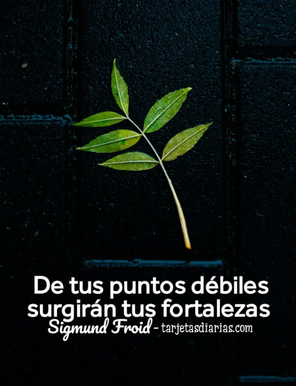 DE TUS PUNTOS DÉBILES SURGIRÁN TUS FORTALEZAS