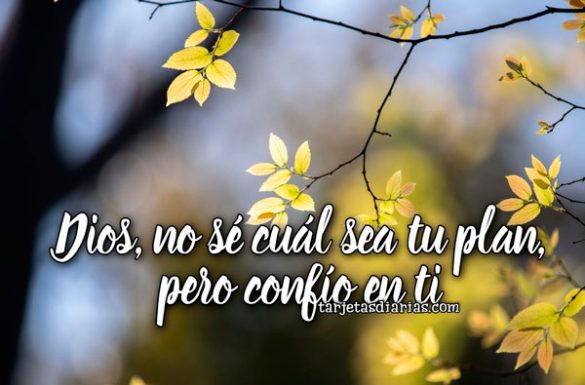 DIOS, NO SÉ CUÁL ES TU PLAN, PERO CONFÍO EN TI