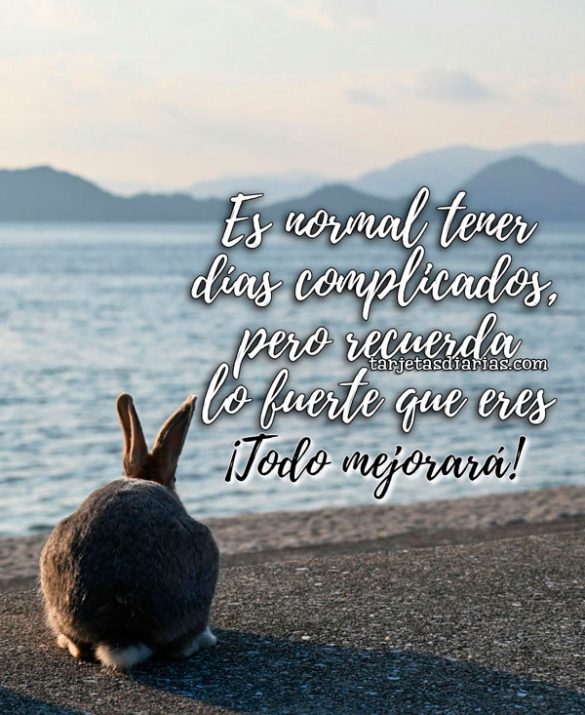 ES NORMAL TENER DÍAS COMPLICADOS, PERO RECUERDA LO FUERTE QUE ERES