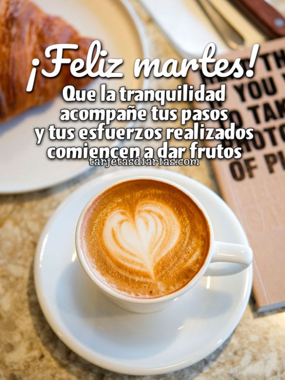 ¡FELIZ MARTES! QUE LA TRANQUILIDAD ACOMPAÑE TUS PASOS Y TUS ESFUERZOS REALIZADOS COMIENCEN A DAR FRUTOS