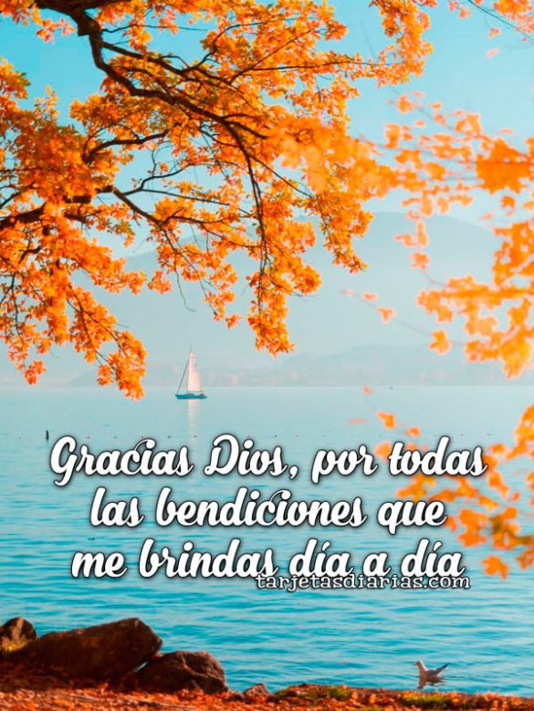 GRACIAS DIOS POR TODAS LAS BENDICIONES QUE ME BRINDAS DÍA A DÍA