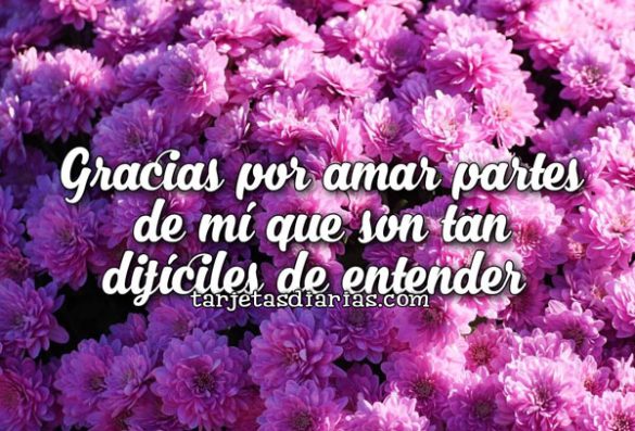 GRACIAS POR AMAR PARTES DE MÍ QUE SON TAN DIFÍCILES DE ENTENDER