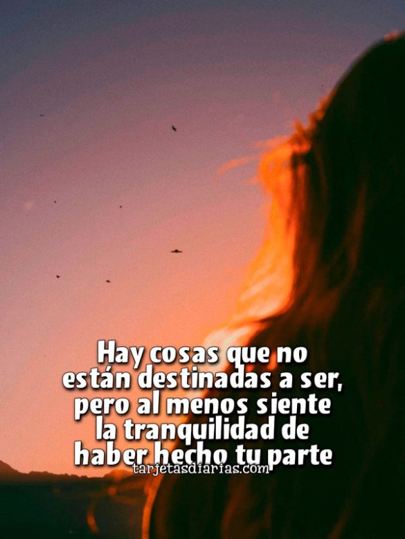 HAY COSAS QUE NO ESTÁN DESTINADAD A SER, PERO AL MENOS SIENTE LA TRANQUILIDAS DE HABER HECHO TU PARTE