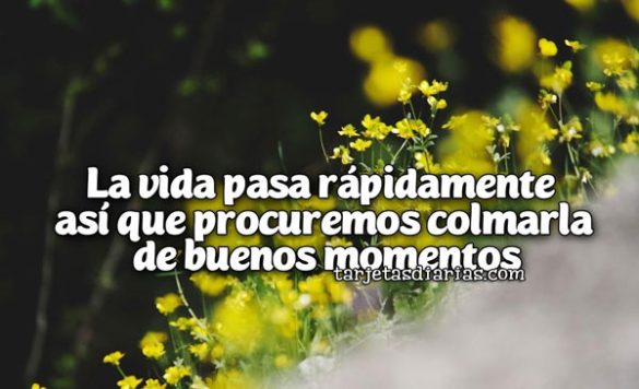LA VIDA PASA RÁPIDAMENTE ASÍ QUE PROCUREMOS COLMARLA DE BUENOS MOMENTOS