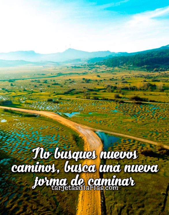 NO BUSQUES NUEVOS CAMINOS, BUSCA UNA NUEVA FORMA DE CAMINAR
