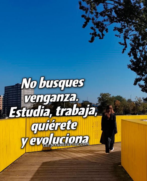 NO BUSQUES VENGANZA. ESTUDIA, TRABAJA, QUIÉRETE Y EVOLUCIONA