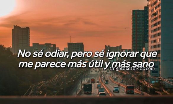 NO SÉ ODIAR, PERO SÉ IGNORAR QUE ME PARECE MÁS ÚTIL Y MÁS SANO