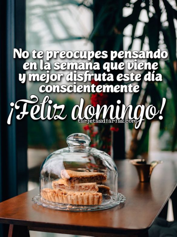 NO TE PREOCUPES PENSANDO EN LA SEMANA QUE VIENE Y MEJOR DISFRUTA. ¡FELIZ DOMINGO!