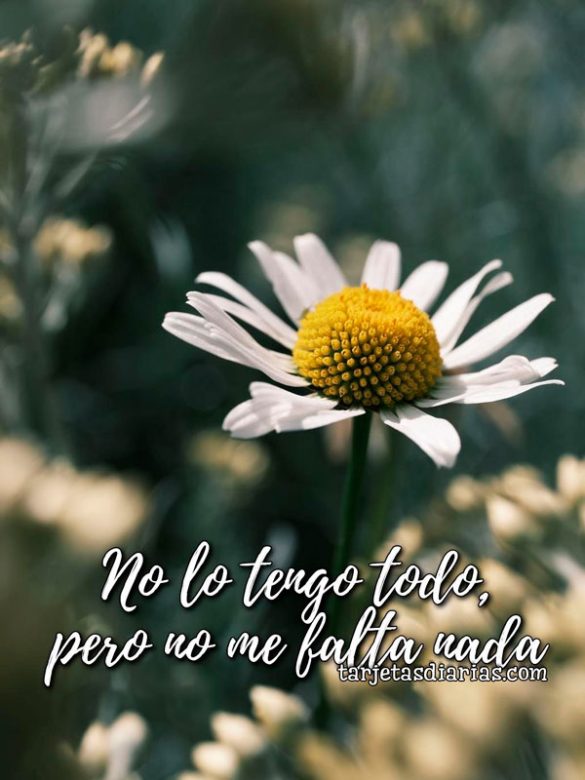 NO TENGO TODO, PERO NO ME FALTA NADA