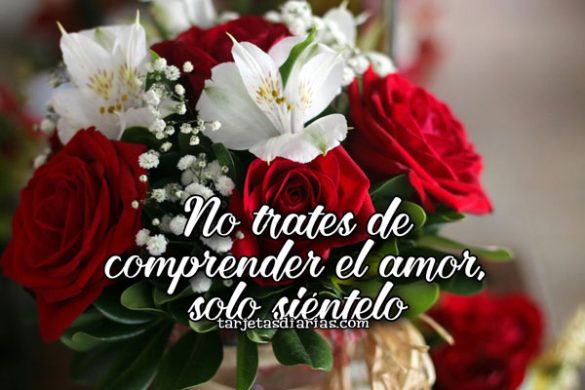 NO TRATES DE COMPRENDER EL AMOR, SOLO SIÉNTELO