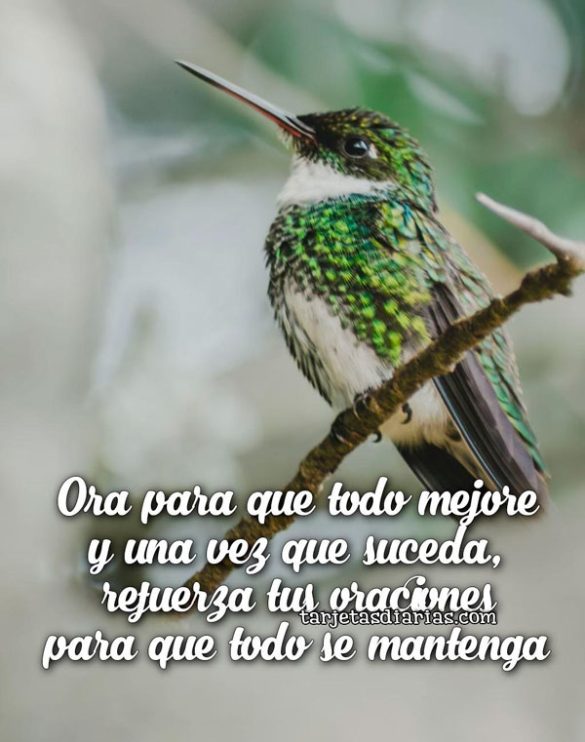 ORA PARA QUE TODO MEJORE Y UNA VEZ SUCEDA, REFUERZA TUS ORACIONES PARA QUE TODO SE MANTENGA
