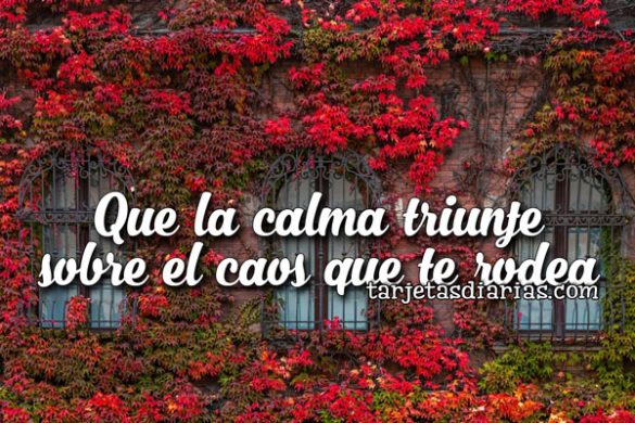 QUE LA CALMA TRIUNFE SOBRE EL CAOS QUE TE RODEA