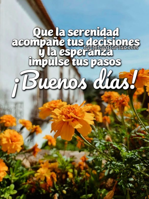 QUE LA SERENIDAD ACOMPAÑE TUS DECISIONES Y LA ESPERANZA IMPULSE TUS PASOS. ¡BUENOS DÍAS!