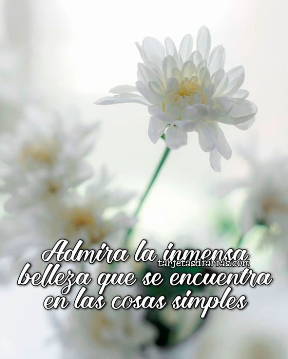ADMIRA LA INMENSA BELLEZA QUE SE ENCUENTRA EN LAS COSAS SIMPLES