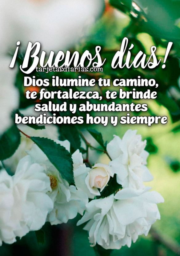 ¡BUENOS DÍAS! DIOS ILUMINE TU CAMINO, TE FORTALEZCA, TE BRINDE SALUD Y ABUNDANTES BENDICIONES HOY Y SIEMPRE