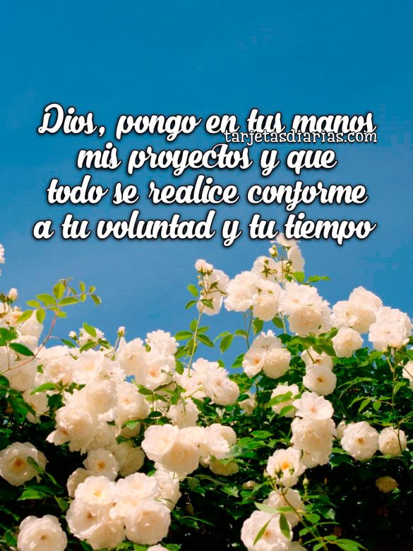 DIOS, PONGO EN TUS MANOS MIS PROYECTOS Y QUE TODO SE REALICE CONFORME A TU VOLUNTAD Y TU TIEMPO