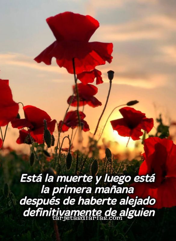 ESTÁ LA MUERTE Y LUEGO ESTÁ LA PRIMERA MAÑANA DESPUÉS DE HABERTE ALEJADO DEFINITIVAMENTE DE ALGUIEN