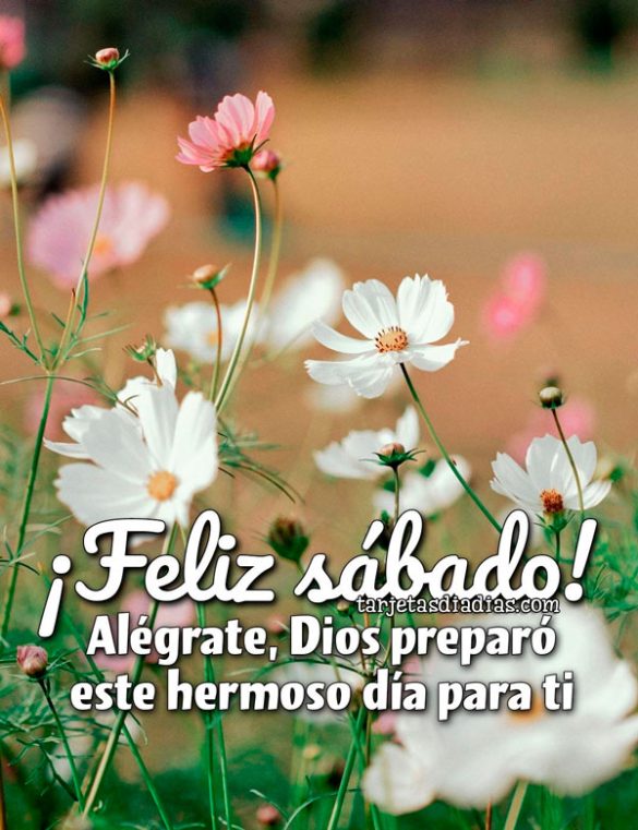 ¡FELIZ SÁBADO! ALÉGRATE, DIOS PREPARÓ ESTE HERMOSO DÍA PARA TI