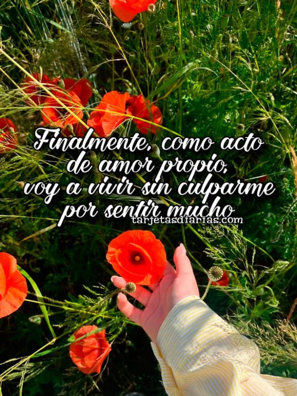 FINALMENTE, COMO ACTO DE AMOR PROPIO, VOY A VIVIR SIN CULPARME POR SENTIR MUCHO