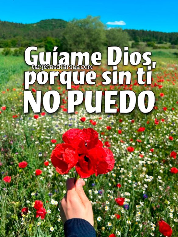 GUÍAME DIOS, PORQUE SIN TI NO PUEDO