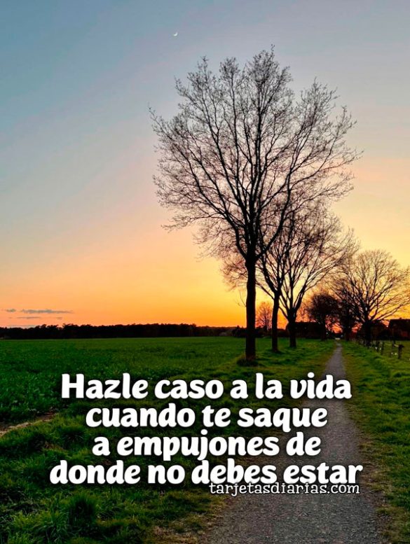 HAZLE CASO A LA VIDA CUANDO TE SAQUE A EMPUJONES DE DONDE NO DEBE ESTAR
