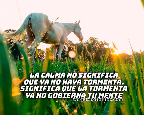 LA CALMA NO SIGNIFICA QUE YA NO HAYA TORMENTA. SIGNIFICA QUE LA TORMENTA YA NO GOBIERNA TU MENTE