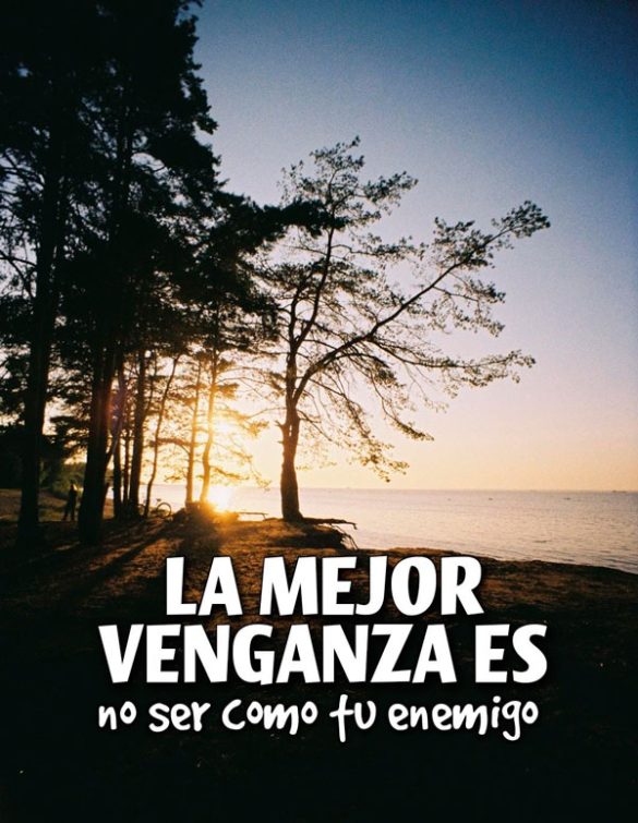 LA MEJOR VENGANZA ES NO SER COMO TU ENEMIGO