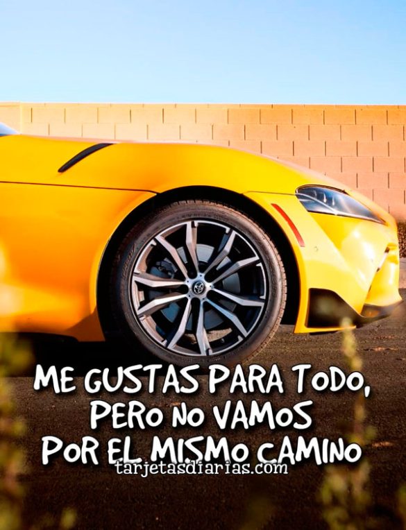 ME GUSTAS PARA TODO, PERO NO VAMOS POR EL MISMO CAMINO