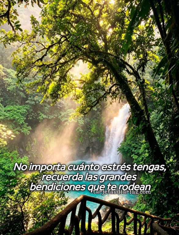 NO IMPORTA CUÁNTO ESTRÉS TENGAS, RECUERDA LAS GRANDES BENDICIONES QUE TE RODEAN