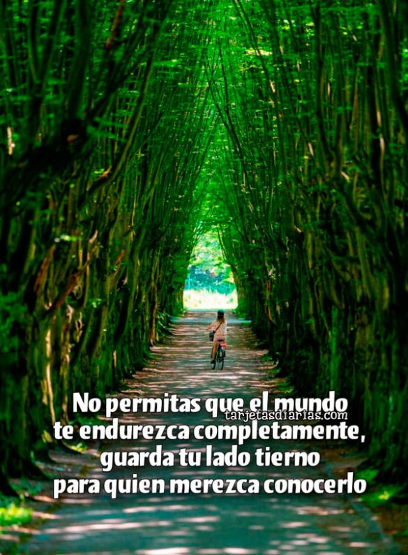 NO PERMITAS QUE EL MUNDO TE ENDUREZCA COMPLETAMENTE, GUARDA TU LADO TIERNO PARA QUIEN MEREZCA CONOCERLO