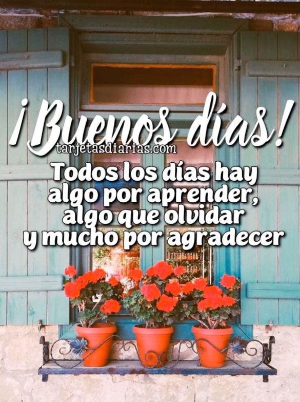 ¡BUENOS DÍAS! TODOS LOS DÍAS HAY ALGO QUE APRENDER, ALGO QUE OLVIDAR Y MUCHO POR AGRADECER