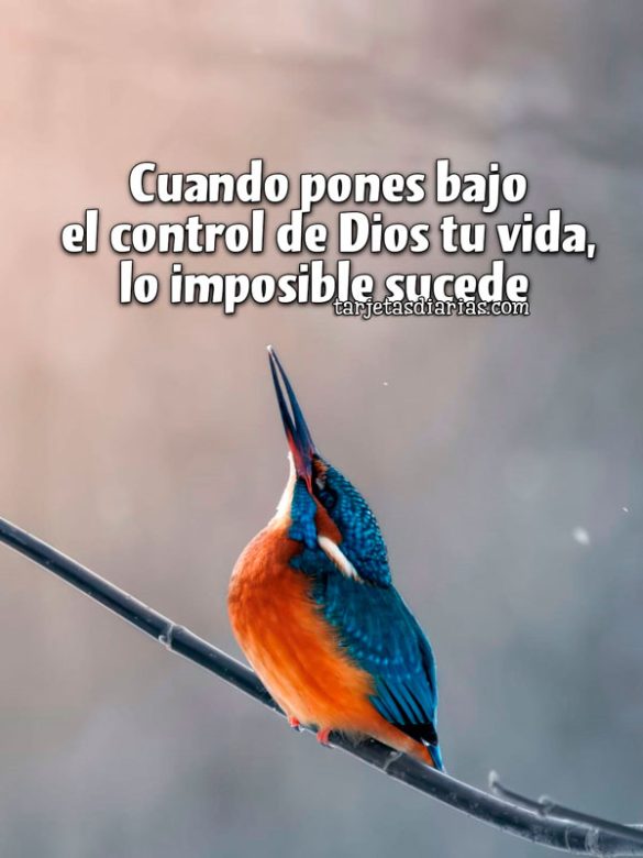CUANDO PONES BAJO EL CONTROL DE DIOS TU VIDA, LO IMPOSIBLE SUCEDE