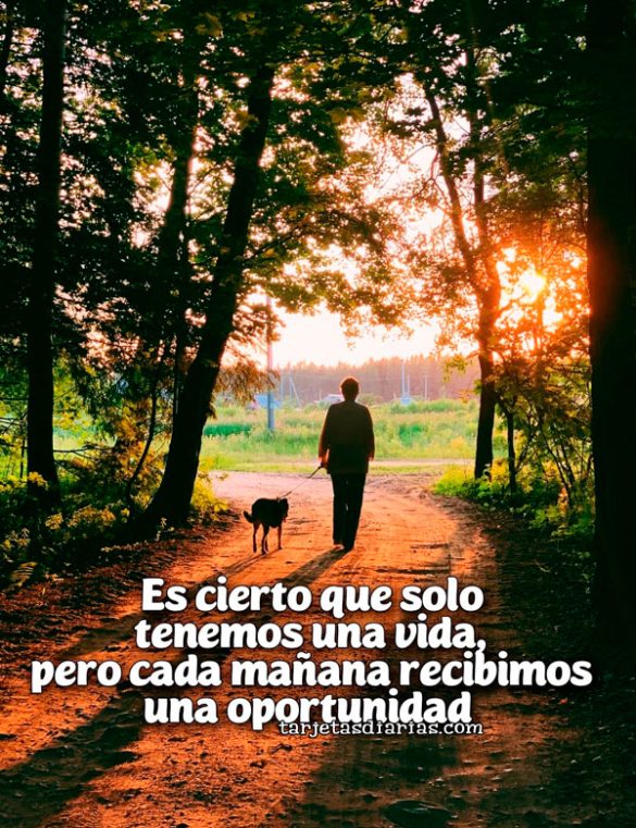 ES CIERTO QUE SOLO TENEMOS UNA VIDA, PERO CADA MAÑANA RECIBIMOS UNA OPORTUNIDAD