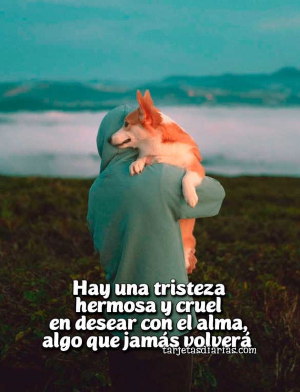 HAY UNA TRISTEZA HERMOSA Y CRUEL EN DESEAR CON EL ALMA, ALGO QUE JAMÁS VOLVERÁ