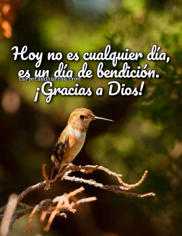 HOY NO ES CUALQUIER DÍA, ES UN DÍA DE BENDICIÓN. ¡GRACIAS A DIOS!
