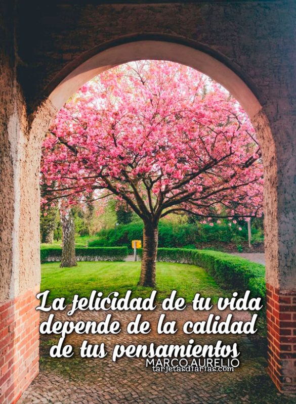 LA FELICIDAD DE TU VIDA DEPENDE DE LA CALIDAD DE TUS PENSAMIENTOS