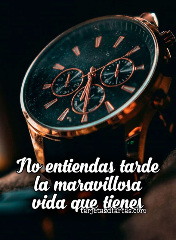 NO ENTIENDAS TARDE LA MARAVILLOSA VIDA QUE TIENES
