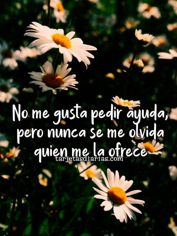NO ME GUSTA PEDIR AYUDA, PERO NUNCA SE ME OLVIDA QUIEN ME LA OFRECE