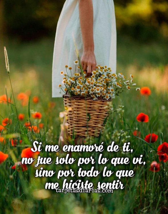 SI ME ENAMORÉ DE TI, NO FUE SOLO POR LO QUE VI, SINO POR TODO LO QUE ME HICISTE SENTIR