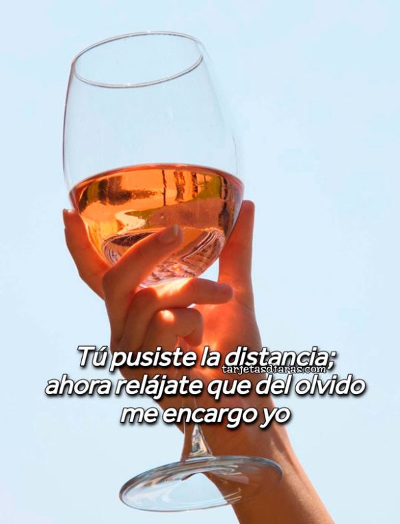TÚ PUSISTE LA DISTANCIA; AHORA RELÁJATE QUE DEL OLVIDO ME ENCARGO YO