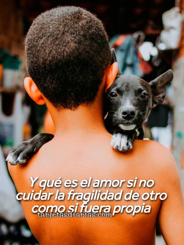 Y QUÉ ES EL AMOR SI NO CUIDAR LA FRAGILIDAD DE OTRO COMO SI FUERA PROPIA