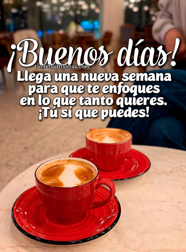 ¡BUENOS DÍAS! LLEGA UNA NUEVA SEMANA PARA QUE TE ENFOQUES EN LO QUE TANTO QUIERES. ¡TÚ SÍ QUE PUEDES!