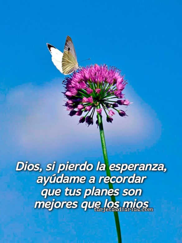 DIOS, SI PIERDO LA ESPERANZA, AYÚDAME A RECORDAR QUE TUS PLANES SON MEJORES QUE LOS MÍOS